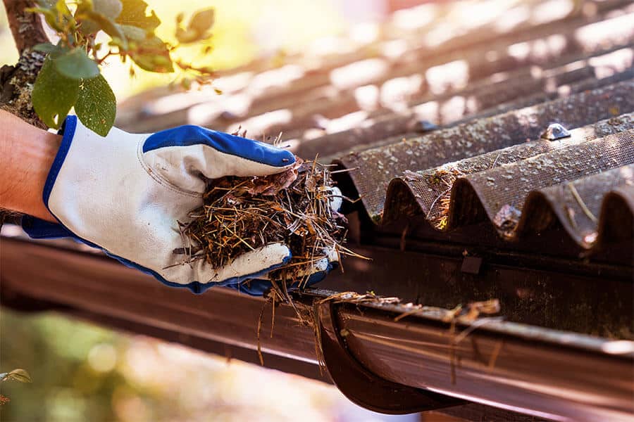 maintain copper gutters cleaning debris leaves and pine needles