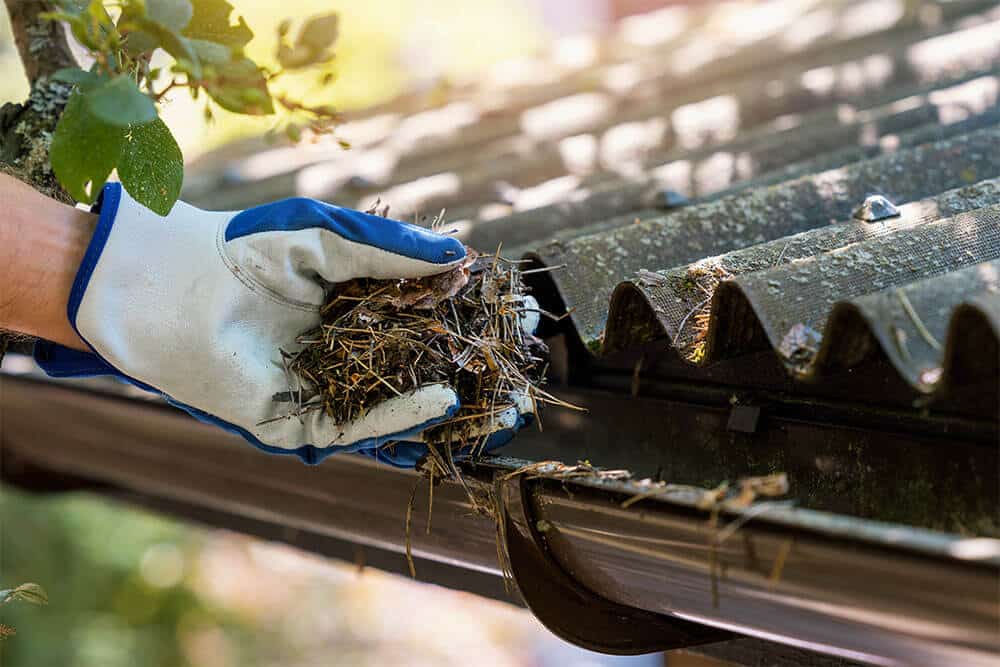 cleaning fall leaves to maintain copper gutters